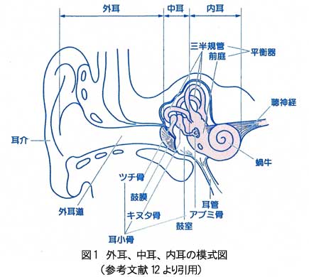 �}1 ���̍\��