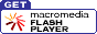 flash get